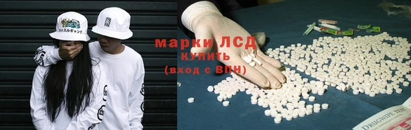 гидра Вязники