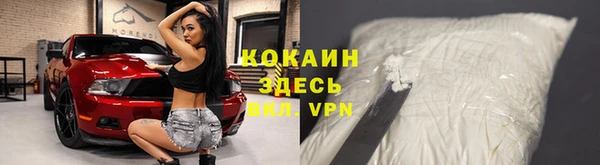 гидра Вязники